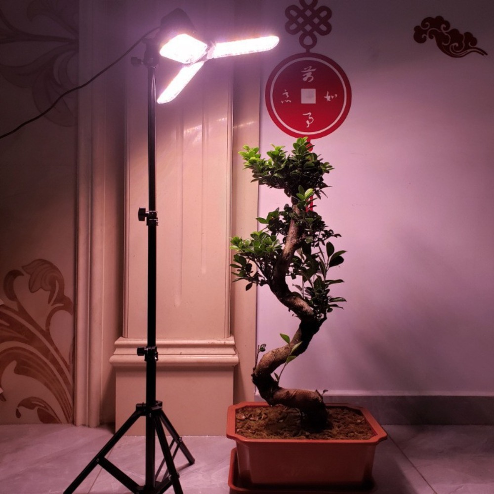 Light Bulb Stand 2M, E27 AC So - Photography Lighting With Umbrella review and price